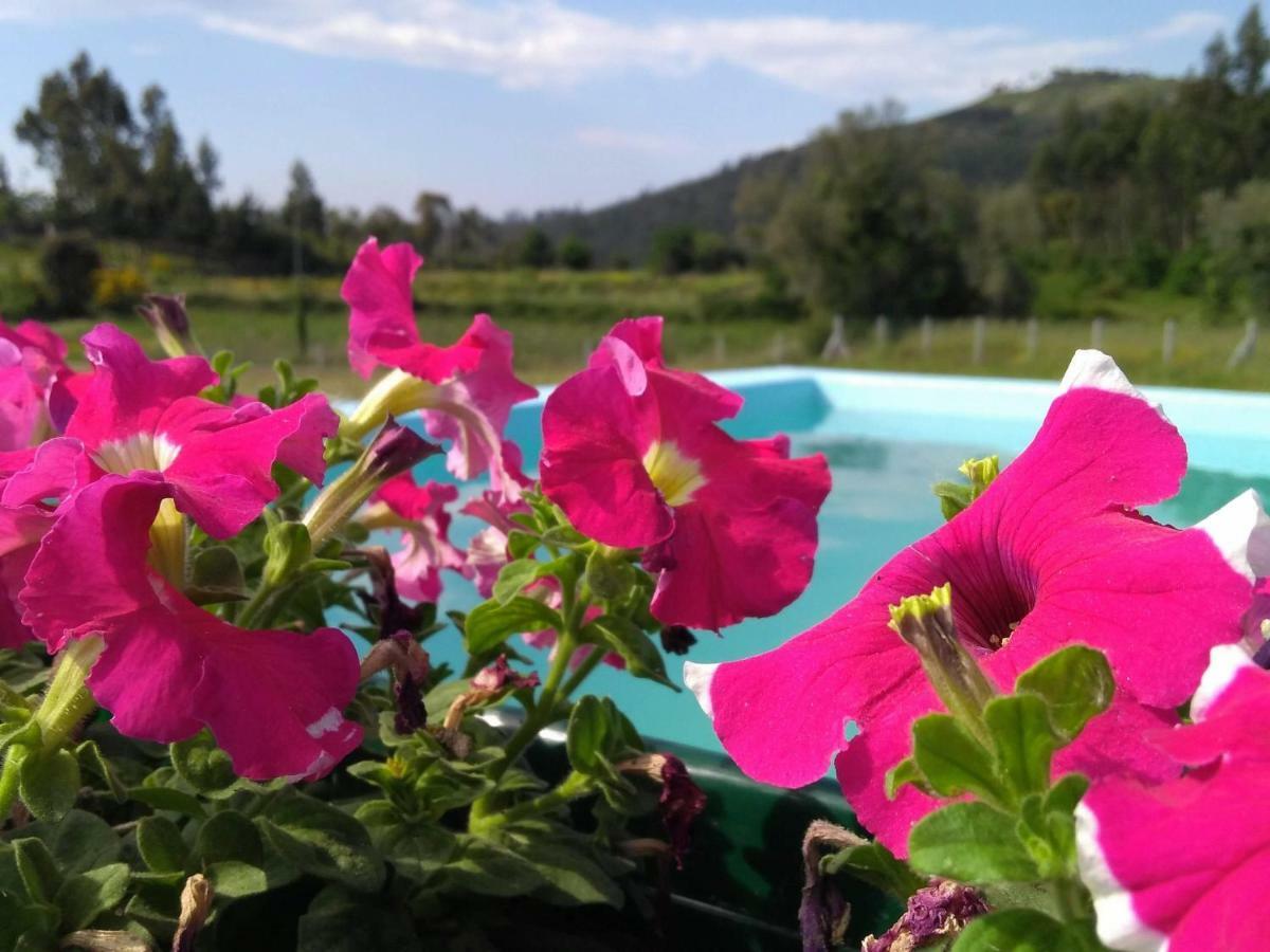 Casa Do Pinheiro Manso Villa วาเลนซา ภายนอก รูปภาพ